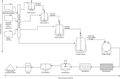 Economic Process Evaluation and Environmental Life-Cycle Assessment of Bio-Aromatics Production